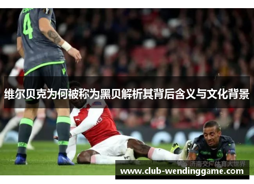 维尔贝克为何被称为黑贝解析其背后含义与文化背景 维尔贝克为何被称为黑贝解析其背后含义与文化背景