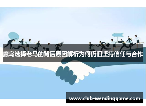 魔鸟选择老马的背后原因解析为何仍旧坚持信任与合作